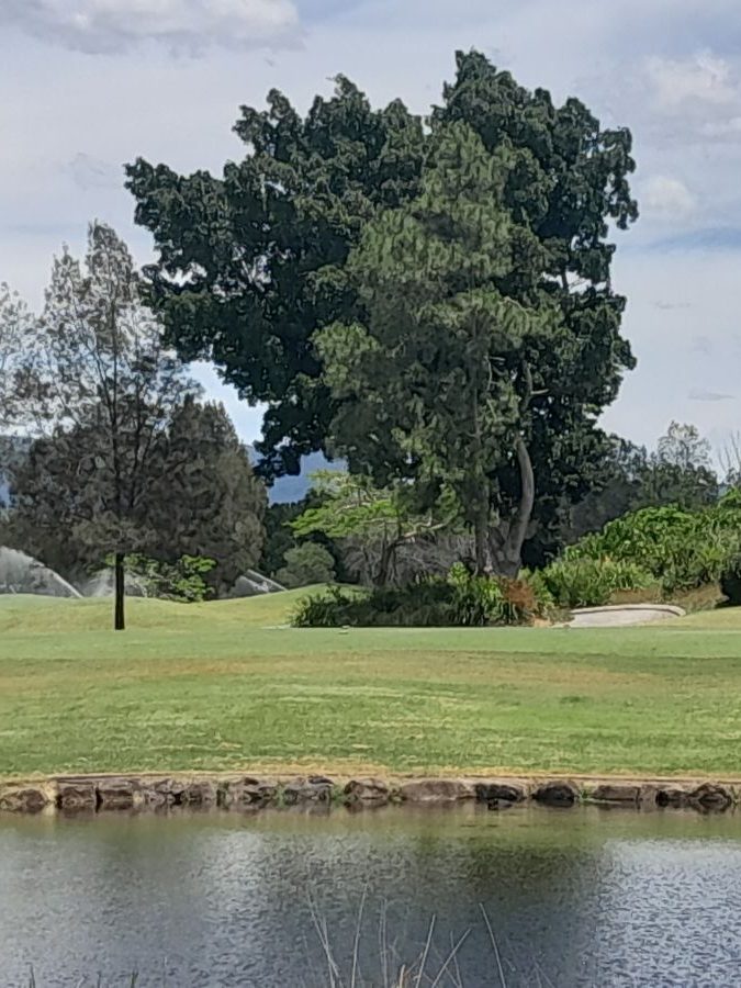 House-Cleaning-Royal-Pines-Golf-Course-Gold-Coast